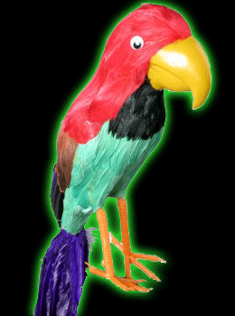 Parrot