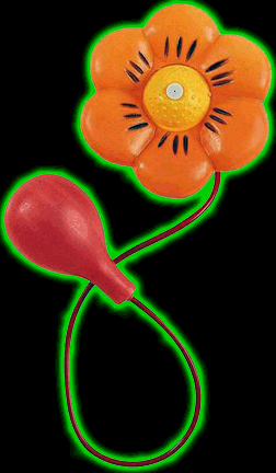 Squirting Flower