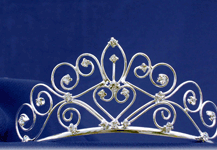 Silver Garden Curved Band Tiara