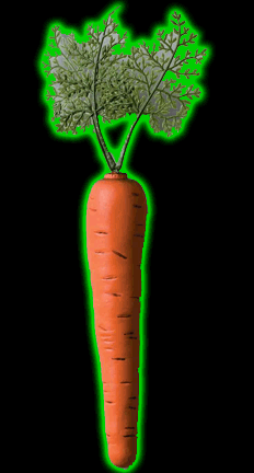 Prop Carrot