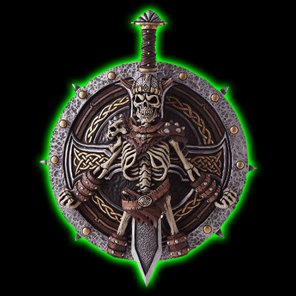 Viking Lord Shield And Sword