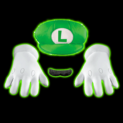 Super Mario Luigi Adult Accessory Kit
