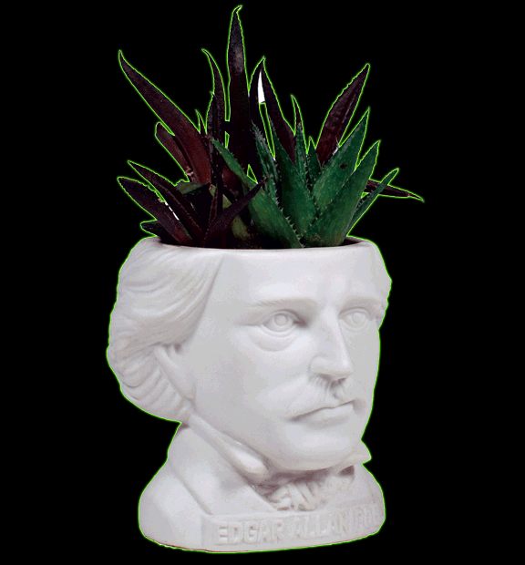 Edgar Allan Poe Planter