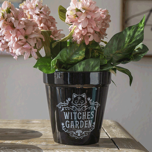 WITCHES GARDEN PLANTER