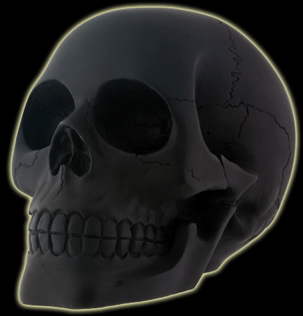 Large Black Matted Skull