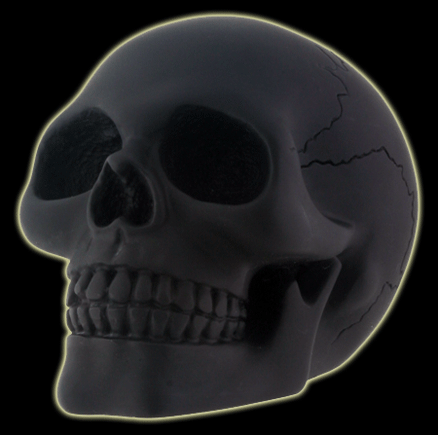 Small Black Matted Skull