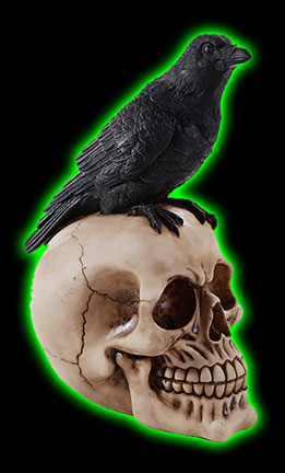 Raven On Skull