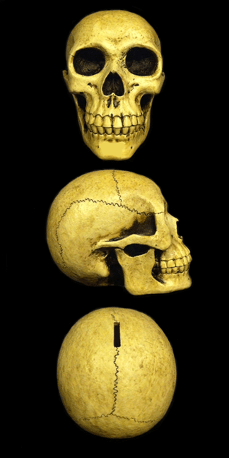 Resin Skull Bank