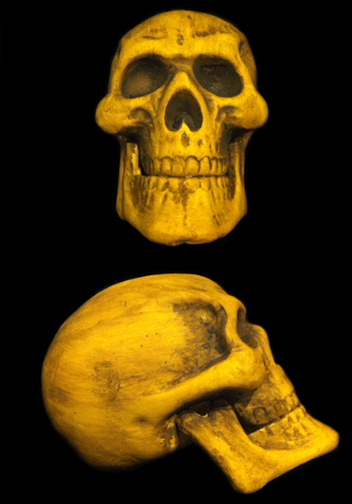 Large Foam Skull