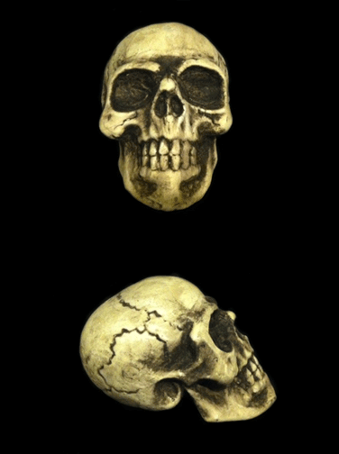 Small Foam Skull