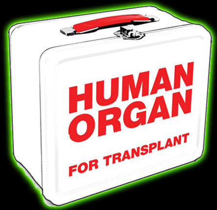 Donor Tin Lunch Box