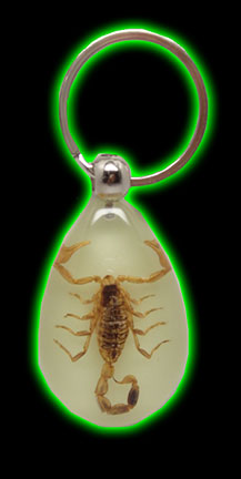 Glowing Golden Scorpion Keychain