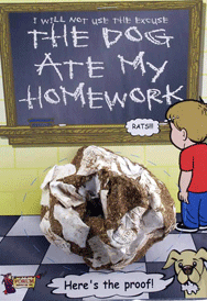 Fake homework screen image