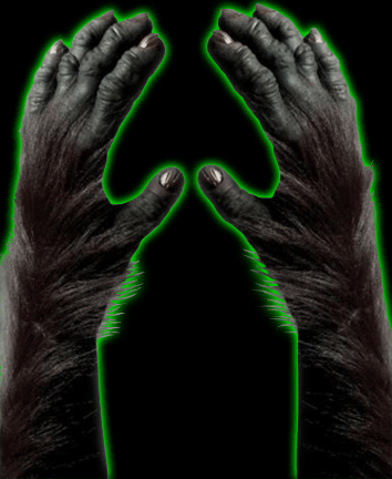 Gorilla Gloves