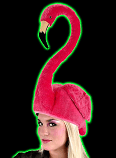 Flamingo Hat