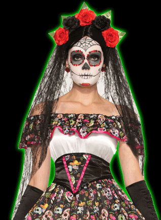 Day of the Dead Black Veil with Flowers
