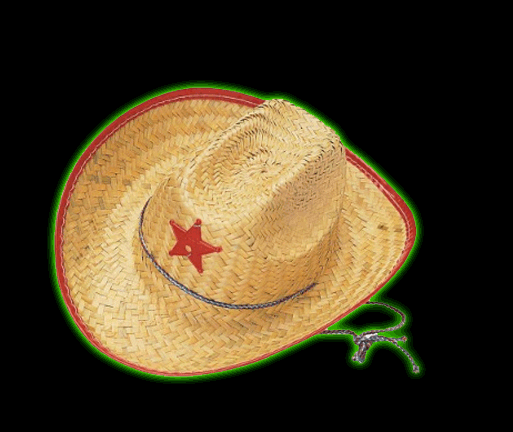 Kids Cowboy Hat