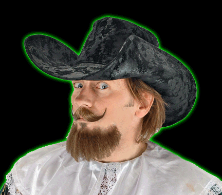 Musketeer Hat