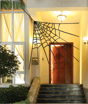 Small Corner Spider Web