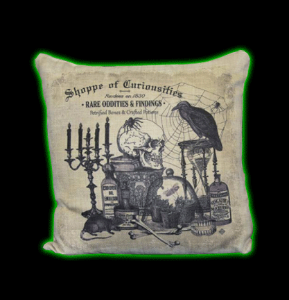 Rare Oddities & Findings Pillow