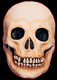 Skull Mask