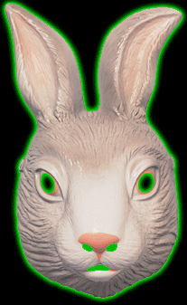 Adult Rabbit Mask