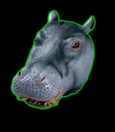 Adult Latex Hippo Mask