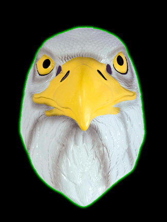 Eagle Mask