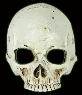 Foam Skull Upper Face Mask