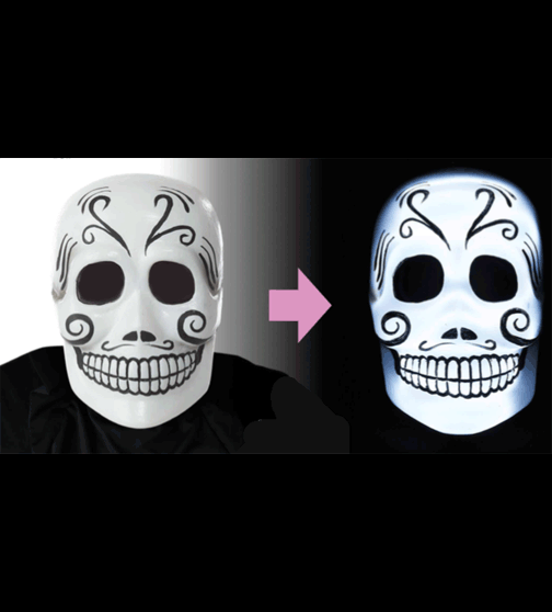 Dia De Los Muertos Light Up Mask