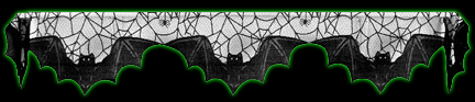 Bats Lace Mantle Scarf - 20