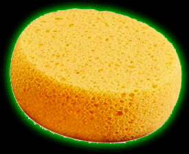 Hydra Sponge - Medium