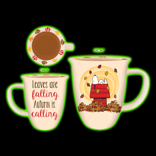 Peanuts Leaves are Falling 16oz Wide Rim Ceramic Mug