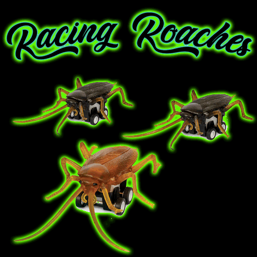 RACING ROACHES