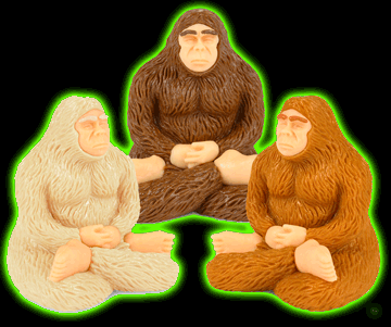 MEDITATING BIGFOOT