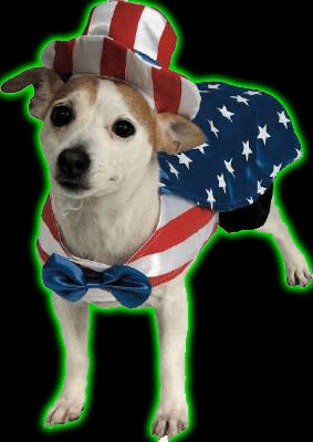 Uncle Sam Pet Costume