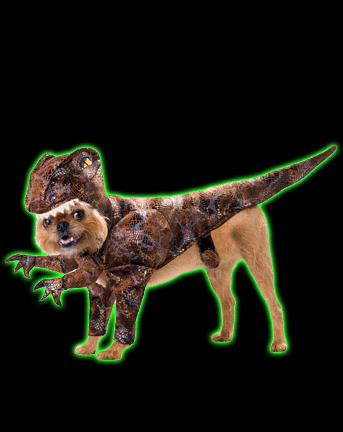 Raptor Dog Costume