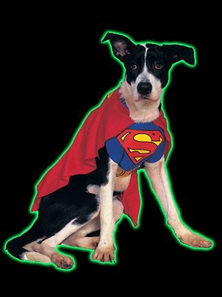 Superman Dog Costume