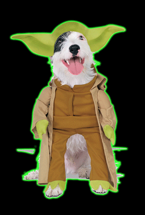 Star Wars Yoda Dog Costume