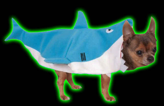 Shark Pet Costume