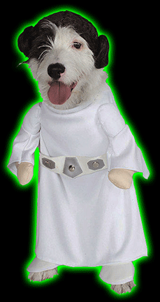 Star Wars: Princess Leia Pet Costume