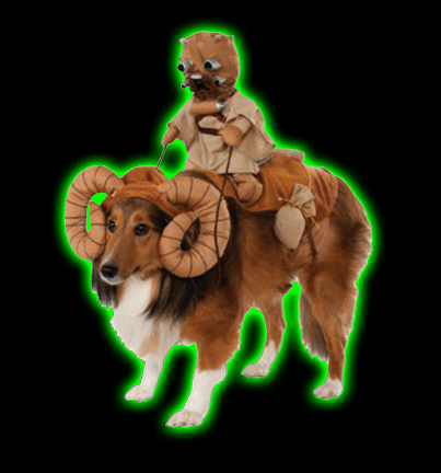 Star Wars: Bantha With Tusken Raider Pet Costume