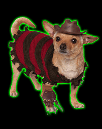Freddy Krueger Pet Costume
