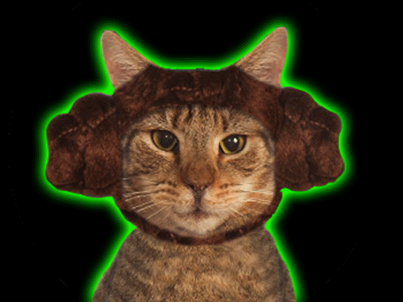 Star Wars: Princess Leia Cat Hood
