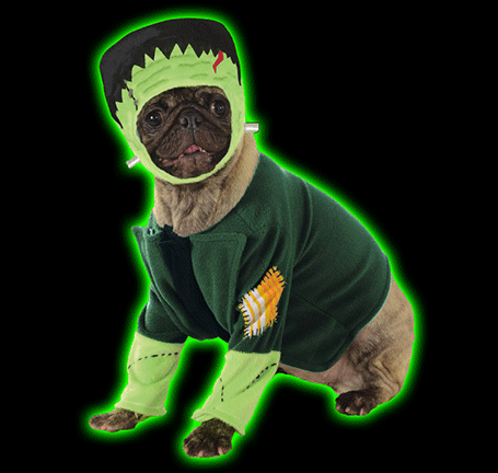 Frankenstein Pet Costume