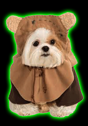 Star Wars: Ewok Pet Costume