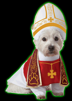 Holy Hound Dog Costume