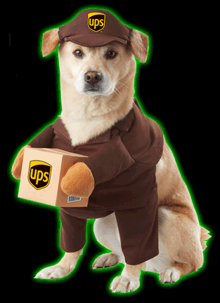 UPS Pal Dog Costume