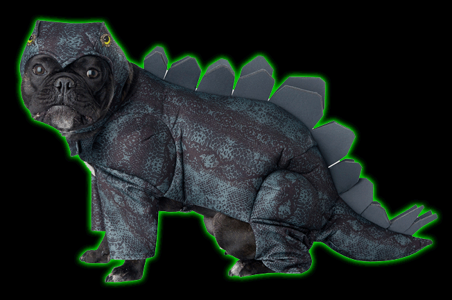 Stegosaurus Dog Costume