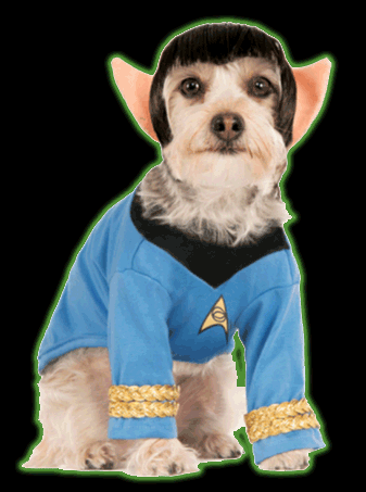 Star Trek Spock Pet Costume